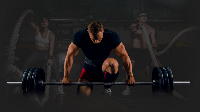 Anavar 10 mg MultiPharm utilisé en thérapie post-stéroïdienne pour optimiser la récupération musculaire
